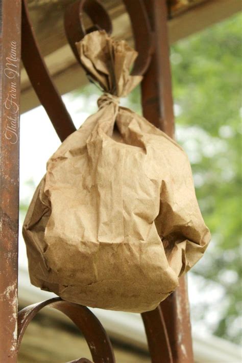 keep away bees with fake wasp bag|paper bag wasp deterrent.